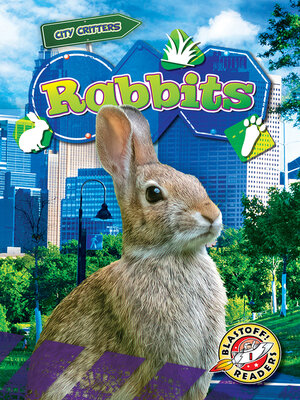 cover image of Rabbits